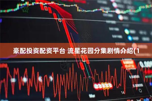 豪配投资配资平台 流星花园分集剧情介绍(1