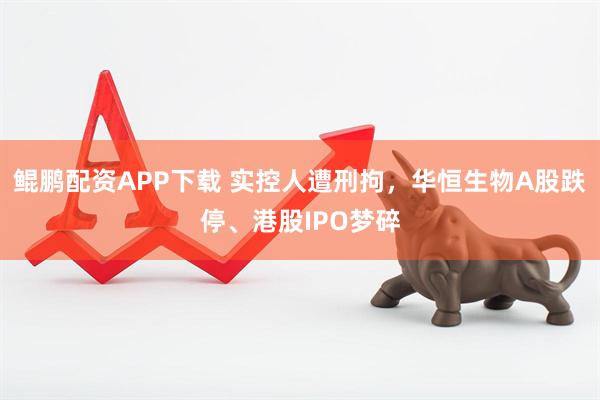 鲲鹏配资APP下载 实控人遭刑拘，华恒生物A股跌停、港股IPO梦碎
